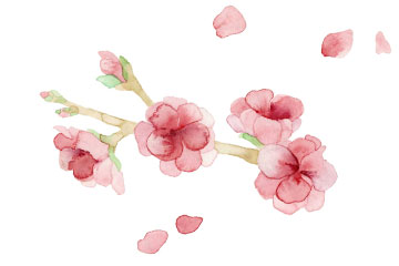 桃の花のイラスト