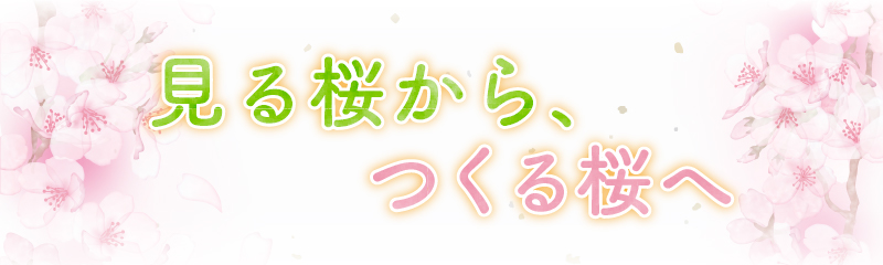 見る桜から、つくるさくらへ