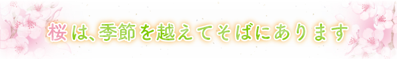 桜は、季節を超えてそばにあります