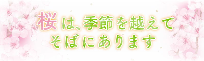 桜は、季節を超えてそばにあります