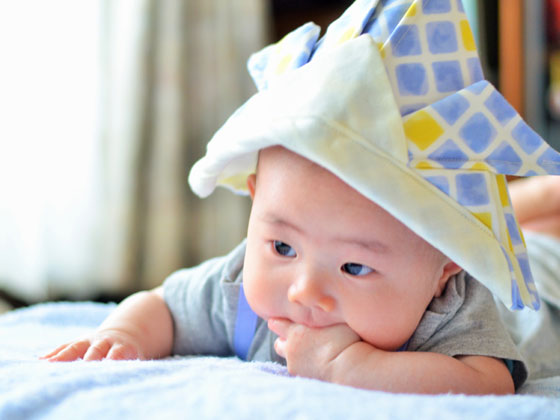 家族の願いとしての端午の節句