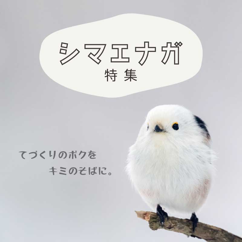 シマエナガ特集