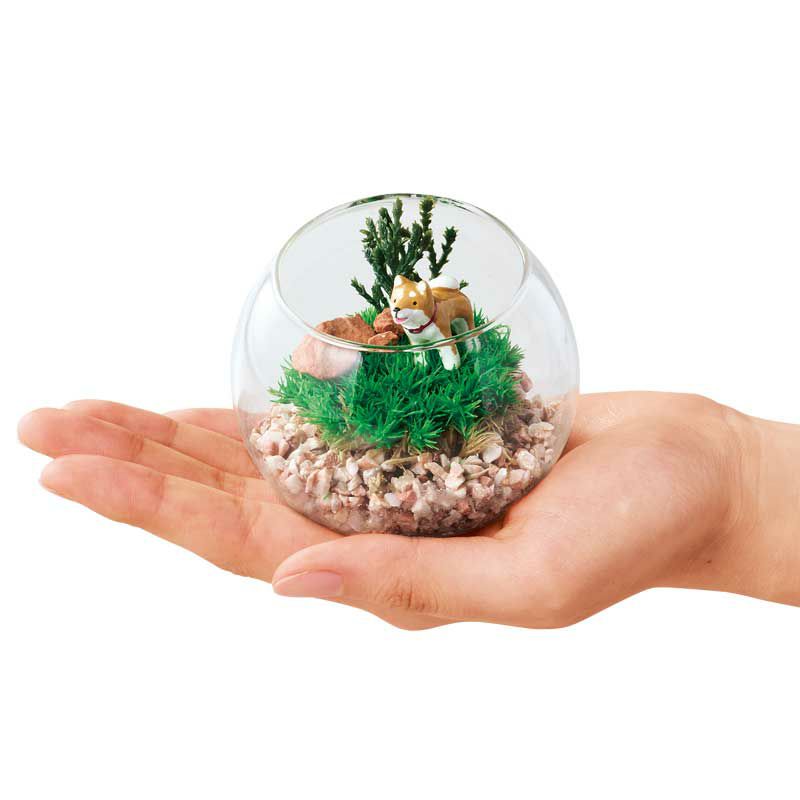 苔のテラリウム・D（猫）｜株式会社さくらほりきり