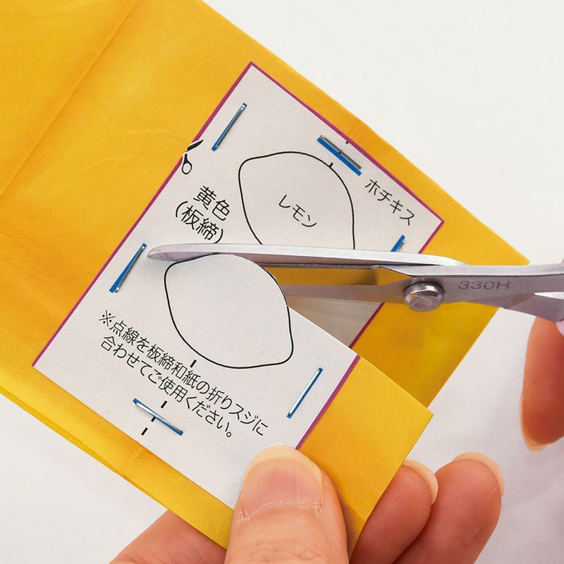 和紙をはじめ花材を切ります