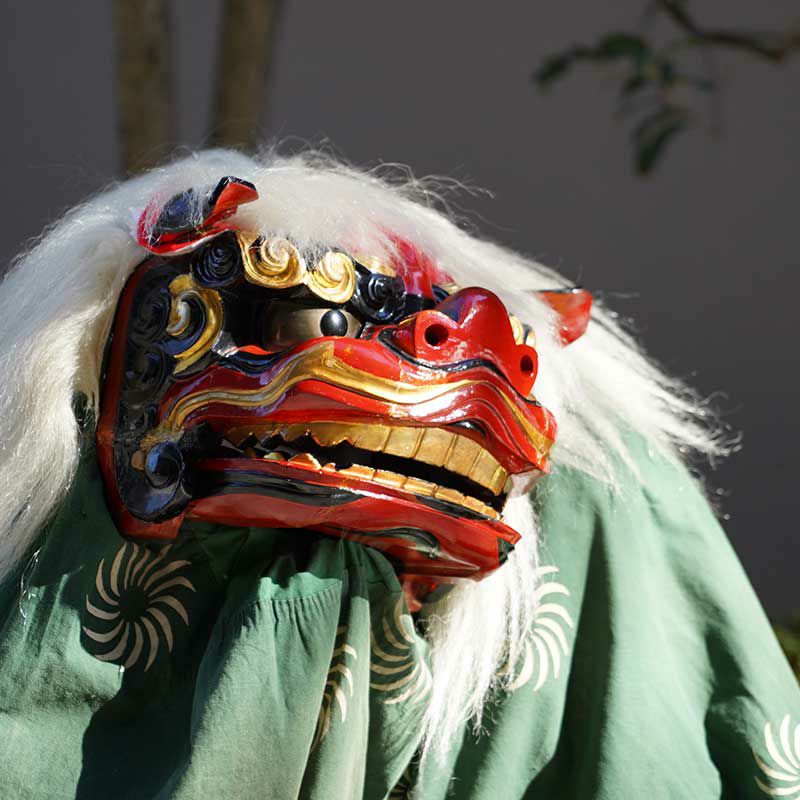 獅子舞は、お正月やお祭りなど縁起が良い場面で舞われる厄払いの一つ