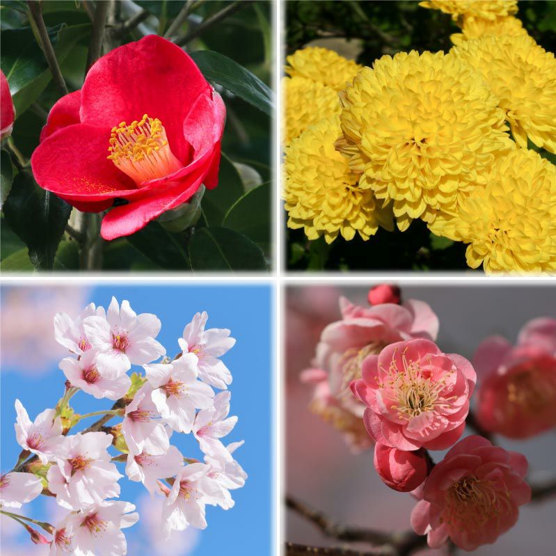 押絵飾り・重ね扇と彩り椿｜株式会社さくらほりきり