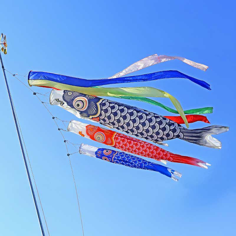 なおくん専用こいのぼり オーナメント・青天こいのぼり｜株式会社さくらほりきり