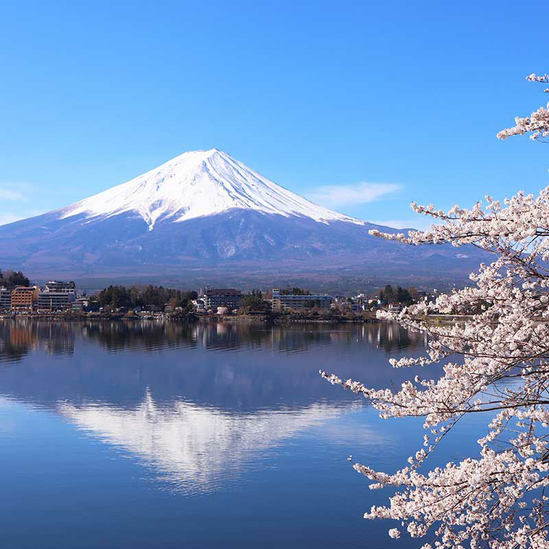 富士(逆さ富士)は、一定の条件が揃わないと見ることのできない風景のため、<br>見るだけで縁起が良いといわれています